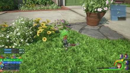 バジルの入手方法解説画像