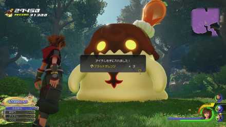 ブラッドオレンジの入手方法解説画像