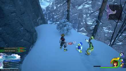 ラズベリールート6