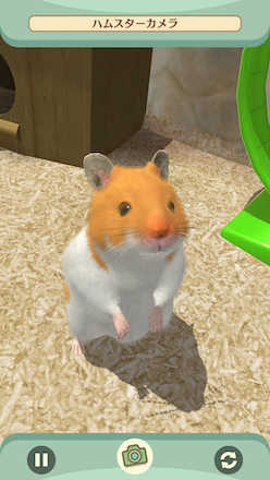 なまはむ カメラ