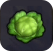 キャベツ(※)