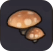 キノコ(※)