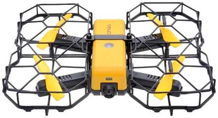 自由に飛べる賞