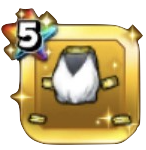 カールの法衣上