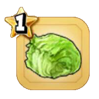 しゃっきりレタス