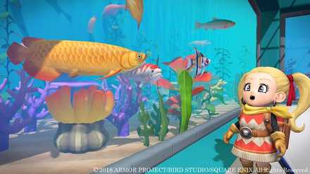 水族館パック