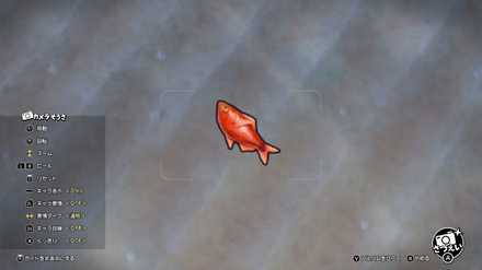 写真を撮影してアップロード