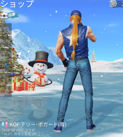 KOFテリー・ボガード（青）画像