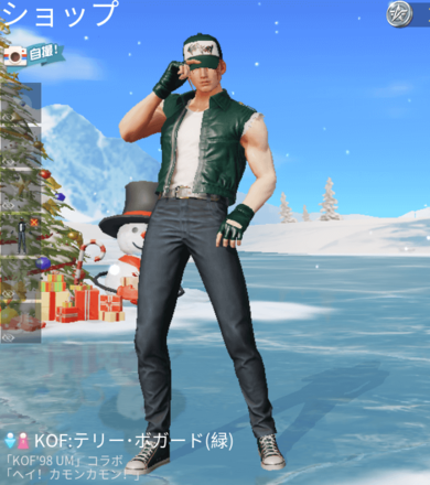 KOFテリー・ボガード（緑）画像