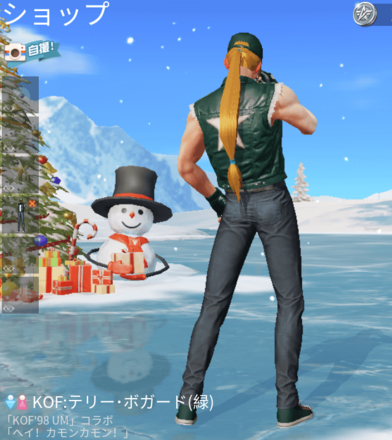 KOFテリー・ボガード（緑）画像