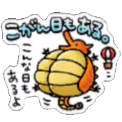 こがんひもあるの画像