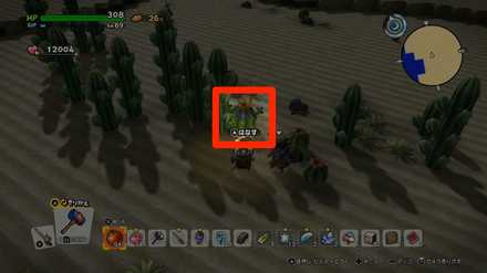 ボールサボテン