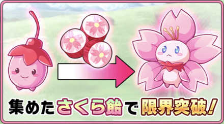 さくら限界突破