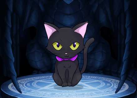 くろねこの画像