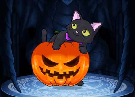 くろねこかぼちゃの画像