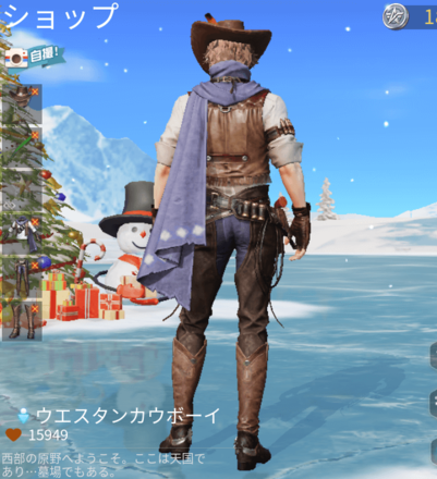 ウエスタンカウボーイ画像