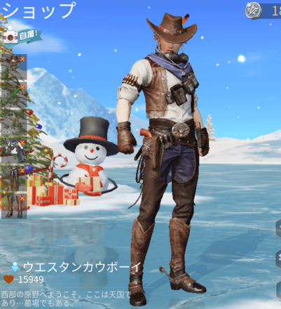 ウエスタンカウボーイ画像