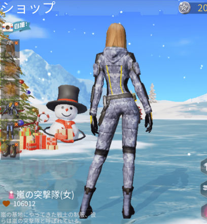 嵐の突撃隊画像