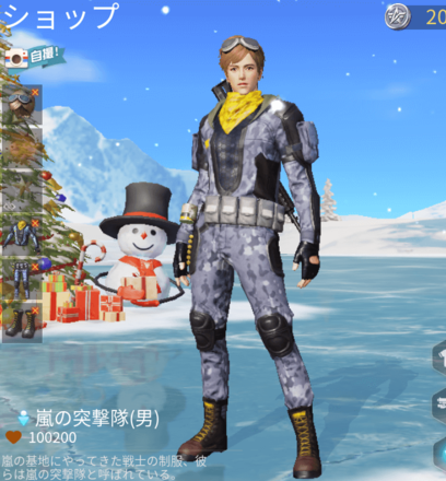 嵐の突撃隊画像