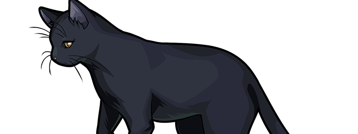 四楓院夜一の画像