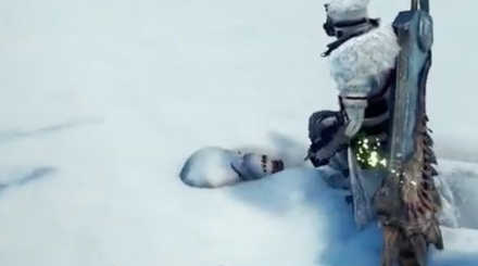 ユキダマコガネ