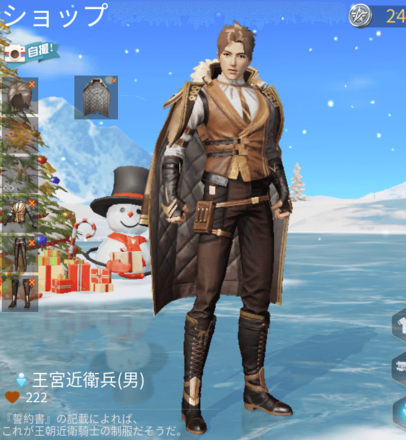 王宮近衛兵画像