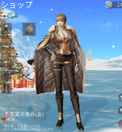 王宮近衛兵画像