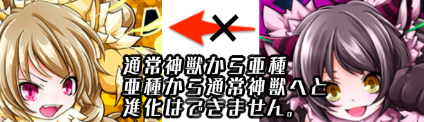 進化できません