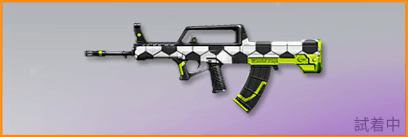 サッカーFes画像