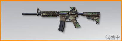 雨林の試練画像