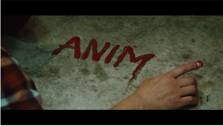 ANIM