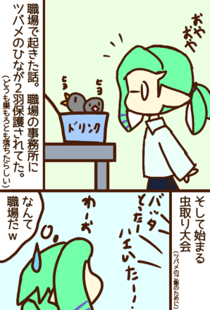 コメント画像