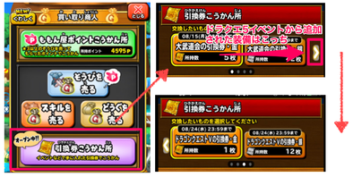 引換券説明画像