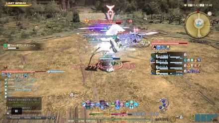 フィバートフラジレーションの画像2