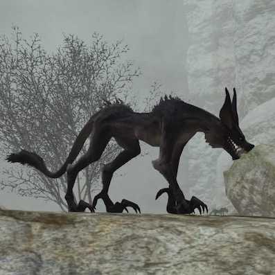 アイランド・ウルフの画像