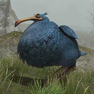 アイランド・レイルの画像