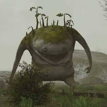 マウルタッシュの画像