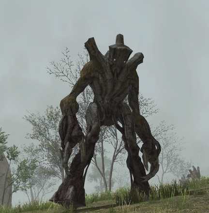 ウッドアイズの画像