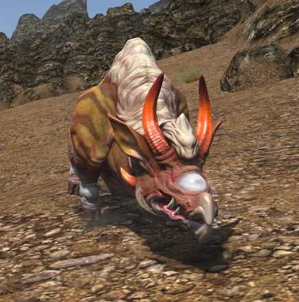 グルグヌーの画像