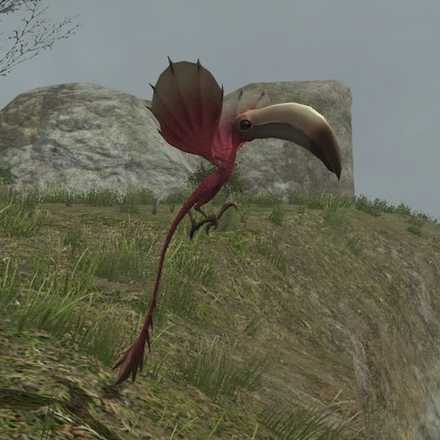 トゥカリブリの画像