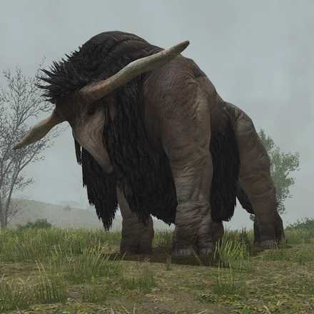 コルシア・バイソンの画像