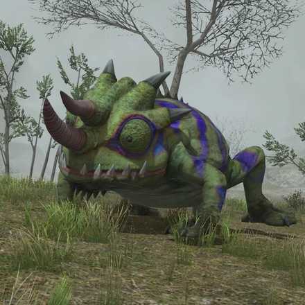 コルシアイグアナの画像