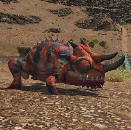 アップランド・イグアナの画像