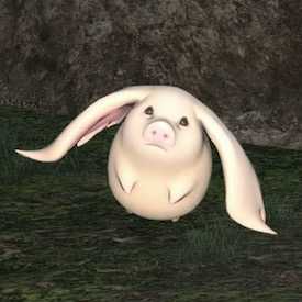 ガーデン・ポークシーの画像