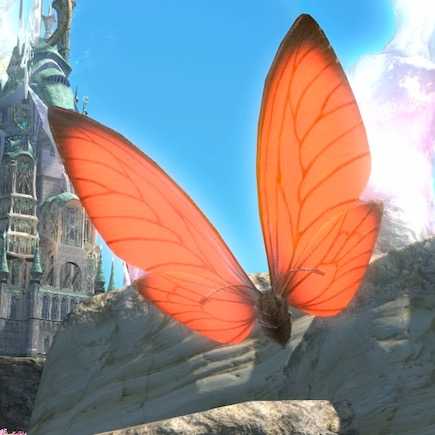 ブラッドモルフォの画像