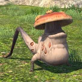 モスフングスの画像