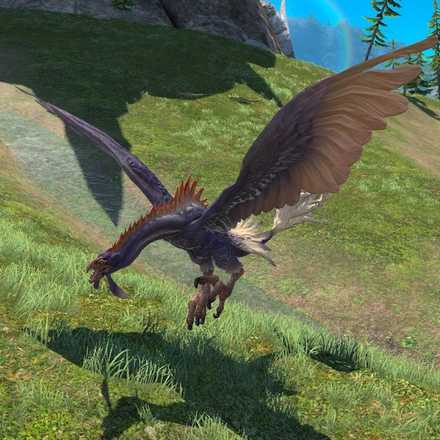 トートエイビスの画像