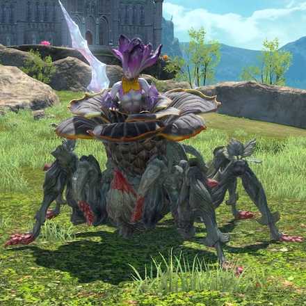 ウィッチウィードの画像