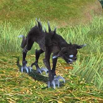 ガーデン・コロコッタの画像