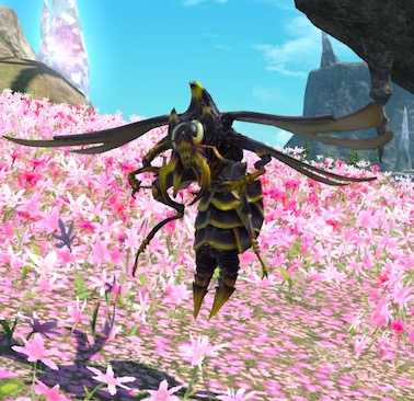 キラービーの画像